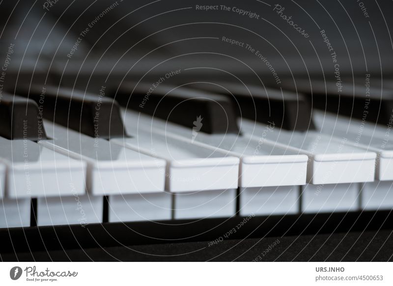 weiße und schwarze Tasten eines Keyboards Musik Klavier Musikinstrument Tasteninstrumente Detailaufnahme Klavier spielen musizieren Freizeit & Hobby Konzert