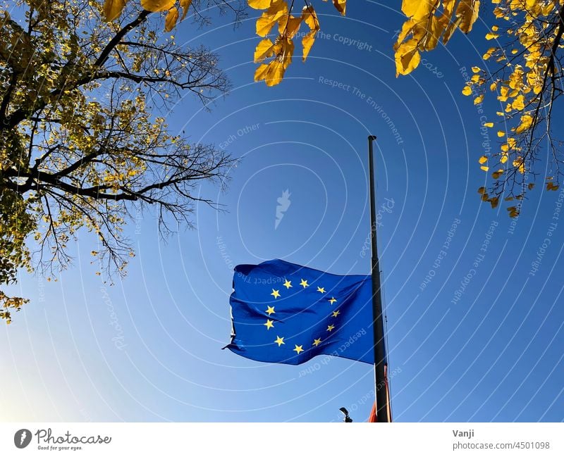 Europa, Fahne, Zusammenhalt Politik & Staat blau Europafahne Farbfoto Tag Außenaufnahme Europäische Union Wind Flagge Fahnenmast Himmel Menschenleer EU wehen