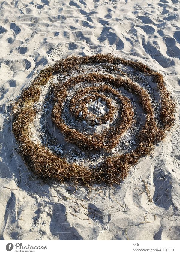 Strandspirale Spirale Mandala Landart Natur Seetang Algen Muscheln Sand Freizeitbeschäftigung Ferien Urlaub Ostsee Meer Sonne Kreis rund natürlich vergänglich