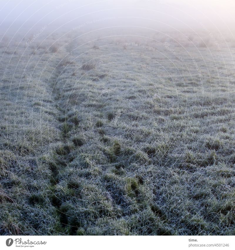 UT Teufelsmoor | Lebenslinien .152 gras wiese Raureif weg uneben morgendämmerung horizont nebel schleichweg spur abdruck frost dunst kalt kühl
