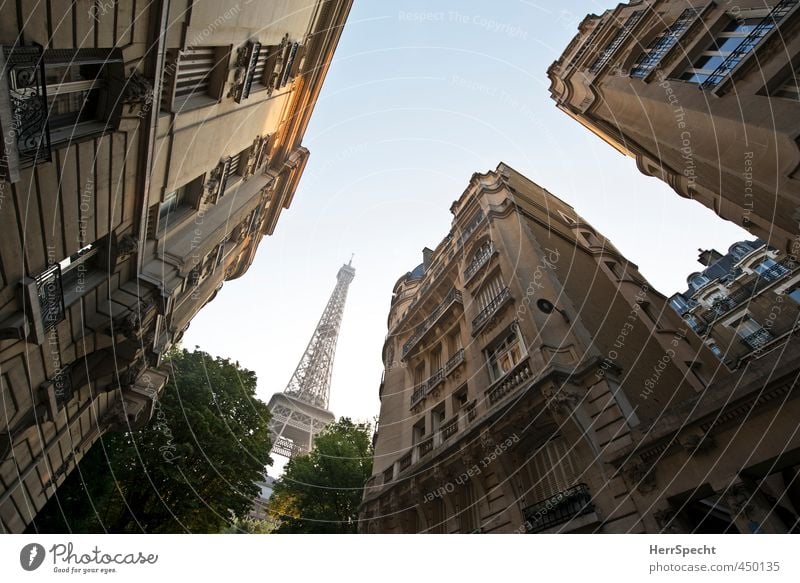Zum Niederknien Wolkenloser Himmel Schönes Wetter Baum Paris Frankreich Hauptstadt Menschenleer Haus Gebäude Architektur Fassade Balkon Dach Sehenswürdigkeit
