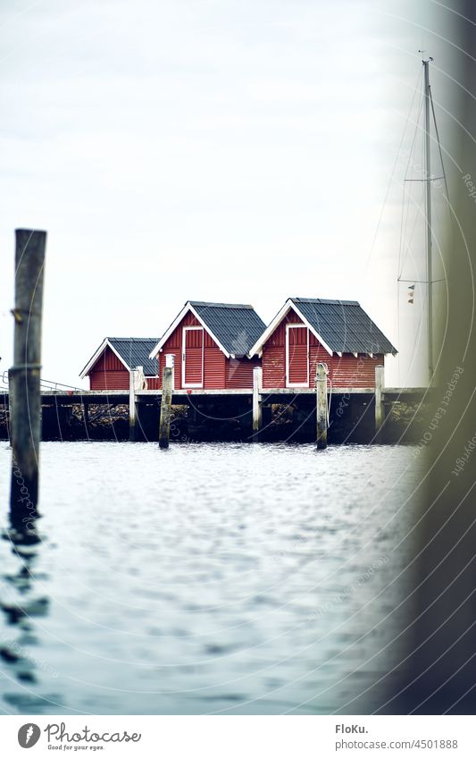 Rote Hütten am Hafen von Struer in Dänemark rot Küste Hafenstadt Anleger Schifffahrt Holz Pfahl Meer Nordsee Schweden Stuer Wasser Außenaufnahme Farbfoto
