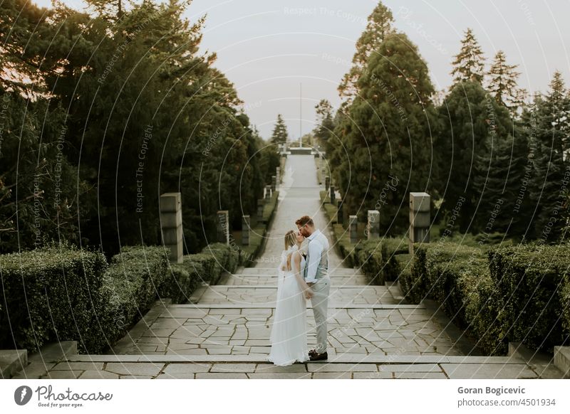 Junges, frisch verheiratetes Paar beim Spaziergang im Park Rücken schön Schönheit Braut Kaukasier heiter Kontakt Tag Kleid Umarmen Emotion Gefühle Frau Ingwer