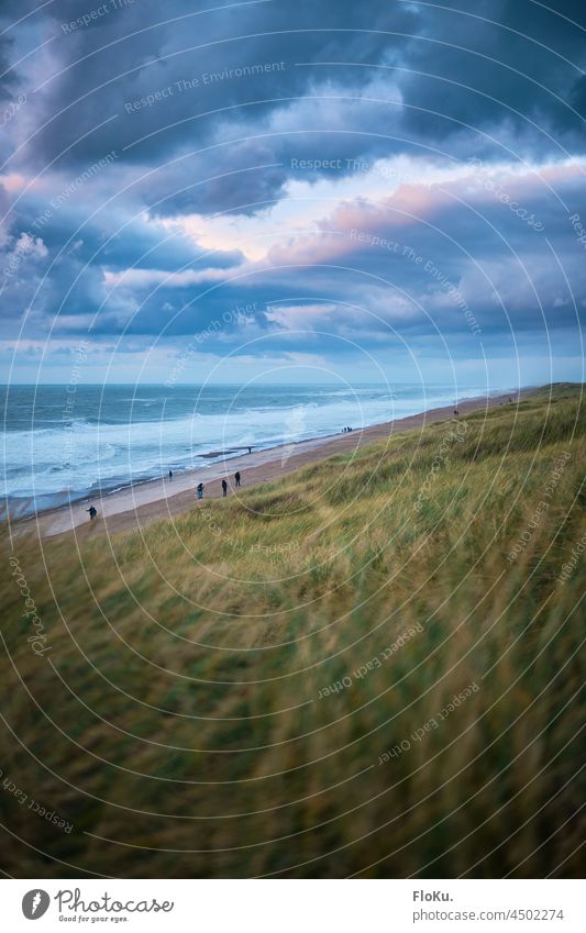 wolkenreicher Abend an der Nordseeküste in Dänemark Küste Meer Strand Europa Ferien & Urlaub & Reisen Wasser Himmel Landschaft Wellen Sand Natur blau Wolken