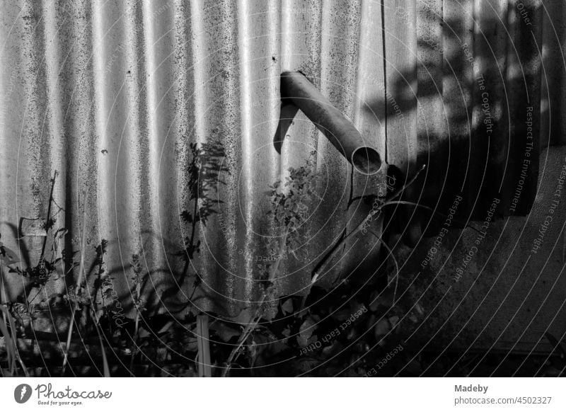 Freistehendes Abwasserrohr aus der Küche eines klapprigen alten Haus mit Wellblechfassade im Sommer bei Sonnenschein im Dorf Maksudiye bei Adapazari in der Provinz Sakarya in der Türkei, fotografiert in neorealistischem Schwarzweiß