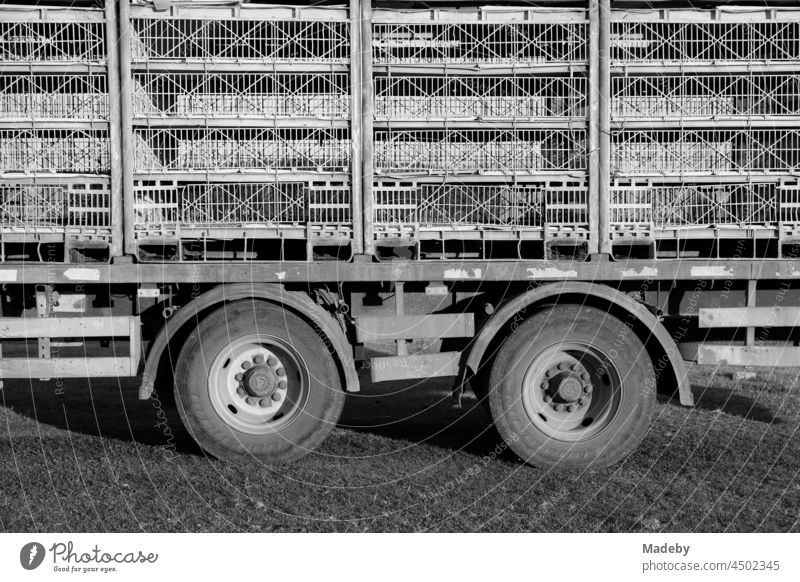 Tandemauflieger mit Zwillingsreifen eines großen Viehtransporter für Geflügel im Dorf Maksudiye bei Adapazari in der Provinz Sakarya in der Türkei, fotografiert in neorealistischem Schwarzweiß