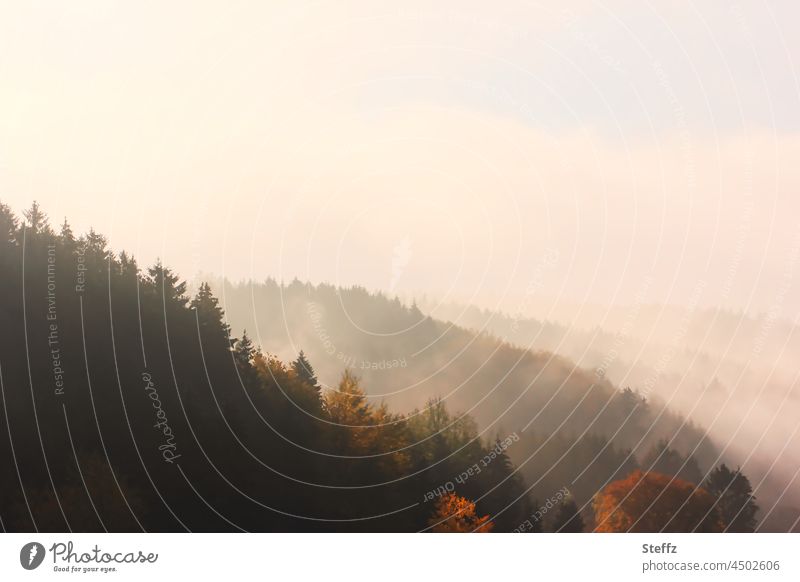 Morgennebel in den Hügeln Sauerland Nebel Hügellandschaft bewaldeter Hügel hügelig hügelige Landschaft Nebelschleier neblig nebelig nebliger Morgen nebliger Tag