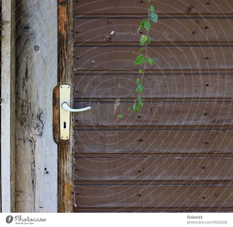 Die Tür aus Holz door Blätter braun alt geschlossen geschlossene gesellschaft geschlossene Tür