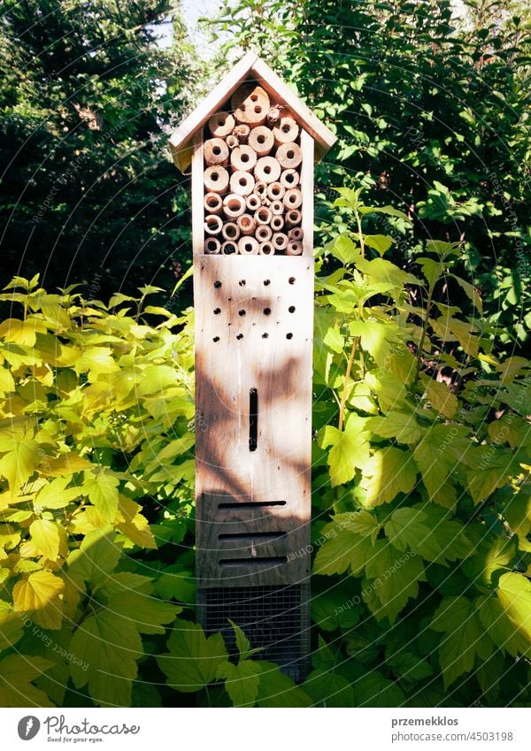 Insektenhotel, Holzhaus im grünen Garten als Schutz und Nisthilfe für Bienen und Insekten biologisch Wanze tragen Textfreiraum ökologisch Ökologie Gartenarbeit