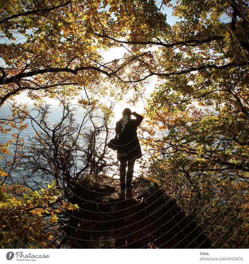 Herbstlicht frau wald fotografieren lichtdurchflutet bäume ostsee baum buche herbst sonnig natur nationalpark waldweg herbstfarben goldener oktober stehen
