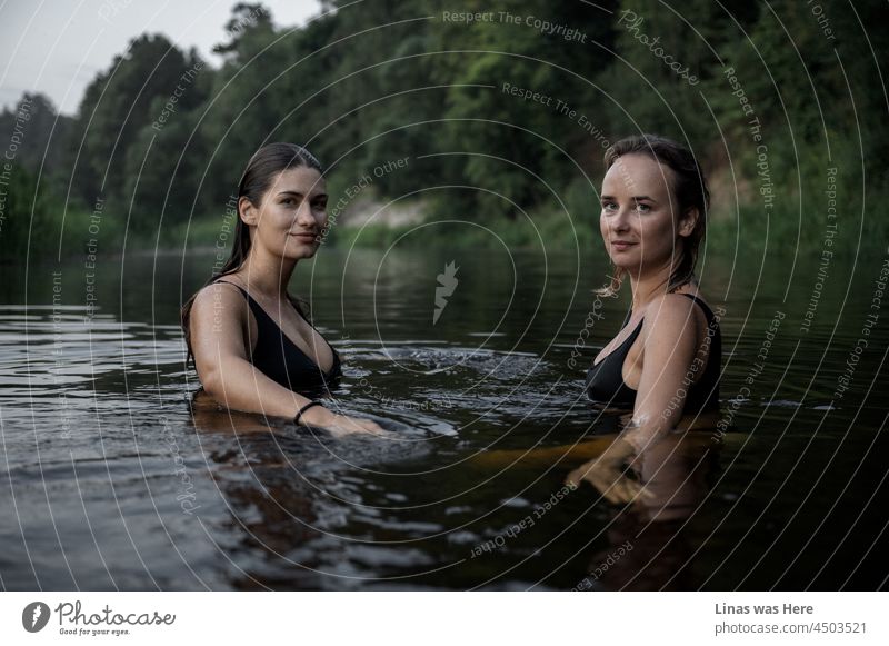 Diese beiden wunderschönen Geschöpfe fühlen sich im dunklen Wasser wohl. Sommerabend mit hübschen Mädchen in einem Fluss. Schöne Gesichter blicken direkt in die Kamera. Die schwarzen Badeanzüge sitzen gut. Wilde Mädchen in wilder Natur.