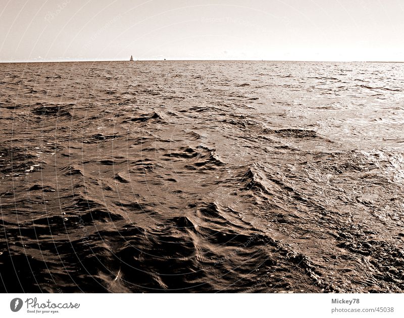 Schwarzes Wasser Horizont schwarz Meer Ostsee Erdöl dreckig