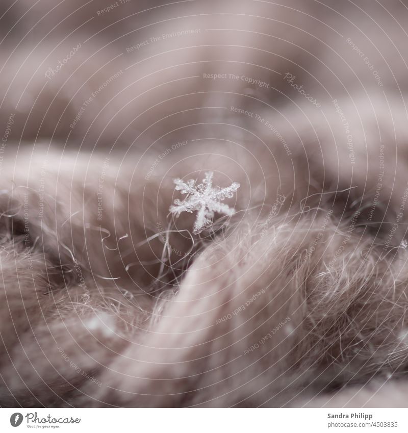 Ein Eiskeistall haftet auf flauschiger Wolle Eiskristall Makroaufnahme gefroren kalt Winter Kristallstrukturen Frost Schnee Nahaufnahme Schneekristall