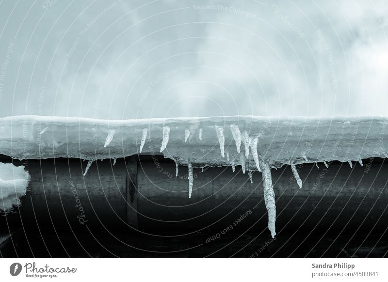 Eiszapfen ragen an einer vereisten Dachrinne nach unten Winter kalt Schnee gefroren Frost weiß Wasser Außenaufnahme Menschenleer Tag Himmel Klima Umwelt Wetter