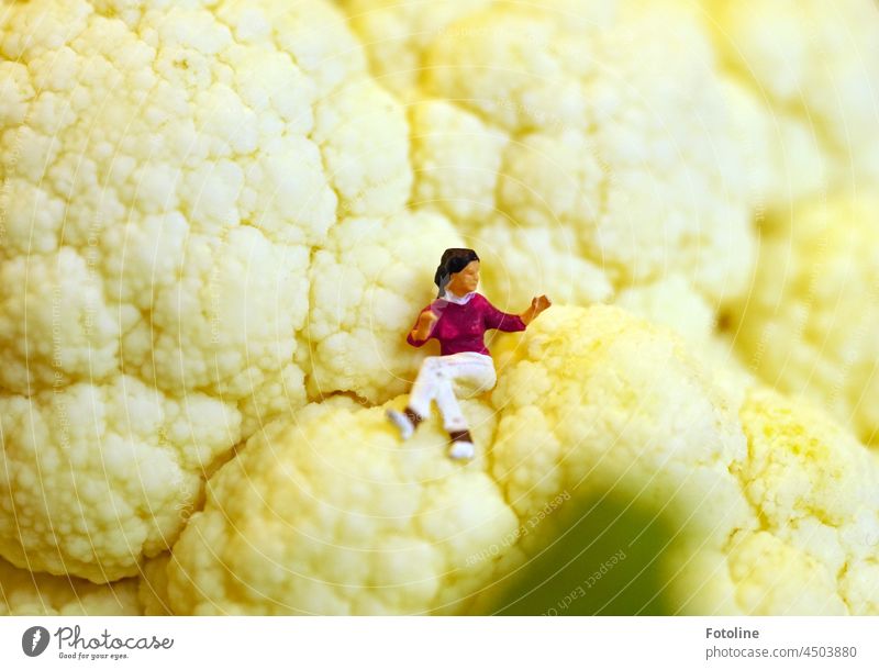 Entspannt sitzt eine winzige Dame auf den Röschen eines Blumenkohls und genießt die Aussicht. Frau Figur Puppe weiß Spielzeug Farbfoto Dekoration & Verzierung