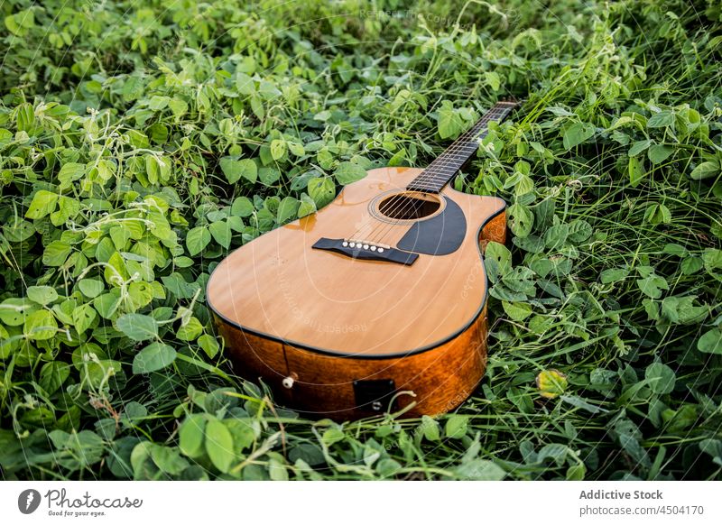 Akustische Gitarre auf grünem Gras akustisch Natur Instrument Musik Pflanze Landschaft Schnur Flora Feld instrumentell Botanik spielen Park natürlich frisch