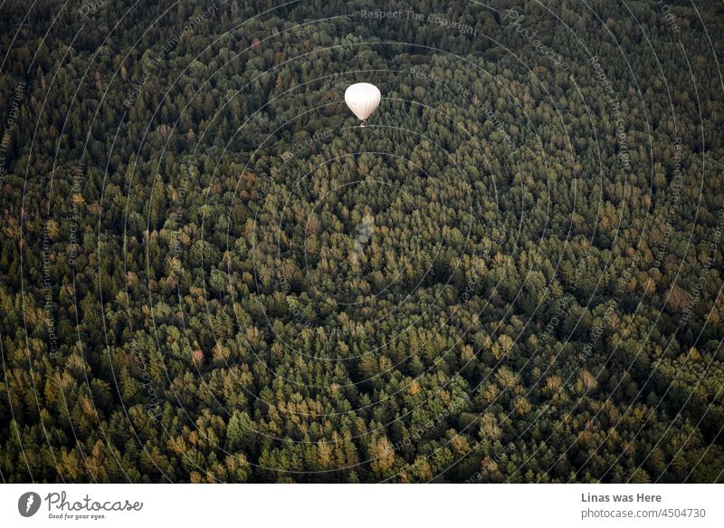 Litauen ist ein wunderschönes Land. Voller grüner Wälder, die man von einem Heißluftballon aus noch besser sehen kann. Malerische Herbstlandschaft aus dem Himmel und ein Ballonkollege erkundet die Schönheit der litauischen Natur.