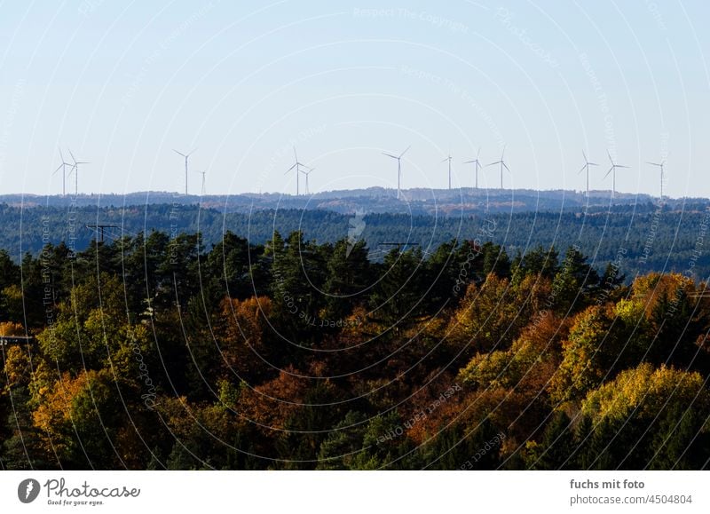 Wald und Windräder Windrad Windradpark Energie Windenergie ökologisch Umwelt Technik & Technologie Ressource Elektrizität umweltfreundlich Erneuerbare Energie