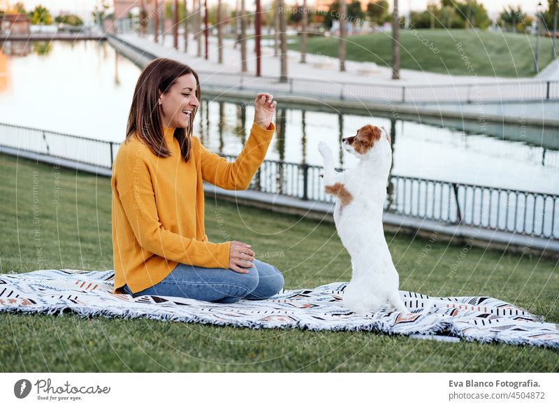 Frau hat Spaß mit Jack-Russell-Hund im Park, sitzt auf einer Decke während der Herbstzeit. Frau gibt Leckereien zu Hund. Haustiere und Liebe Konzept