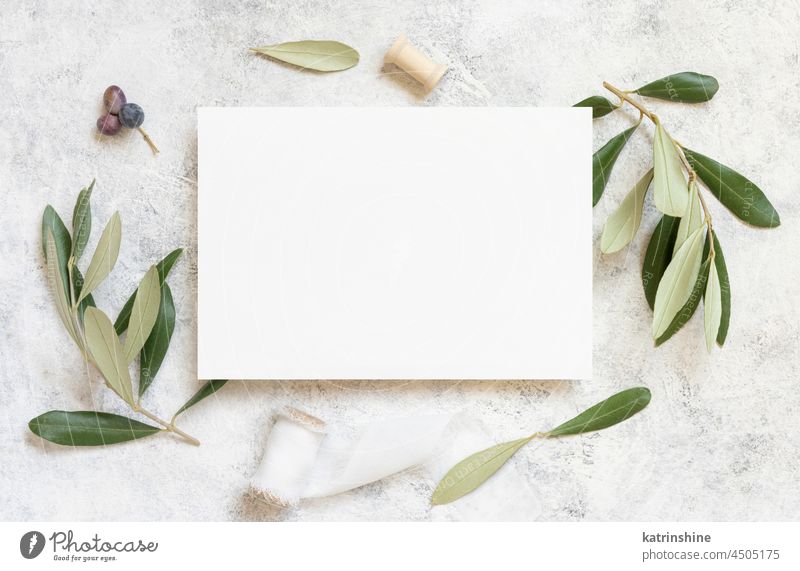Leere Karte auf Marmortisch mit Olivenbaumzweigen Hochzeit Attrappe Einladung Postkarte oliv Ast mediterran rustikal Draufsicht Tisch weiß blanko altehrwürdig
