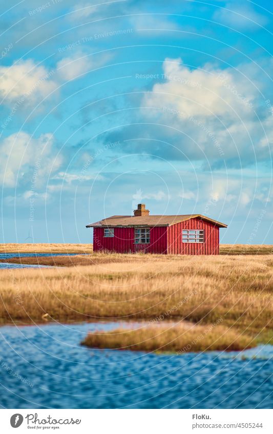 Rotes Haus am Limfjord in Dänemark Schweden Nordsee Küste Wasser Meer See Teich holz Hütte Schutzhütte Umwelt Natur Landschaft Himmel Strand Außenaufnahme