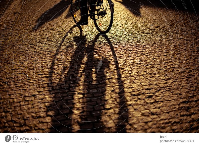 Langer Schatten eines Fahrrades im Abendlicht    * 600 * lang Schattenspiel Schattenwurf Fahrradfahren Fahrradfahrer Rad Radfahren Abenddämmerung Sport
