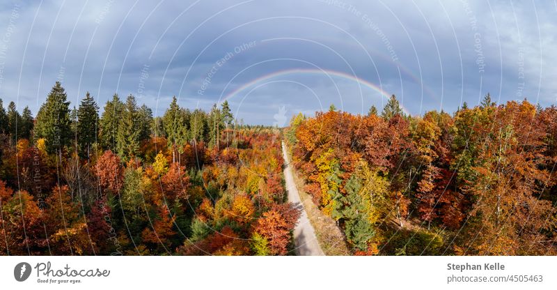 Atemberaubender Regenbogen über bunten Bäumen in der Herbstsaison, Konzept für die schöne Natur an einem wunderbaren Tag im Herbst. Baum Laubwerk panoramisch
