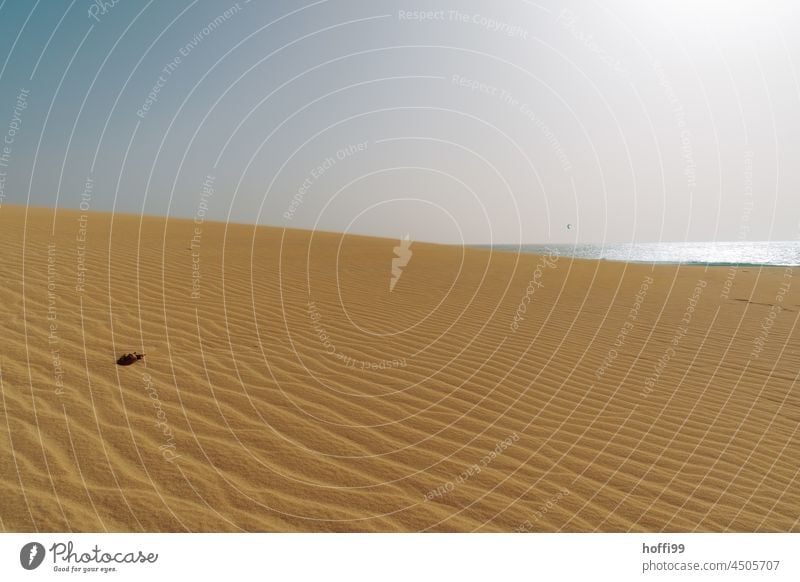 Dühnenlandschaft am Atlantik mit gleißendem Licht am Atlantik Afrika Landschaft Klima Natur Umwelt versanden Strand heiß Dürre Wüste Sand Stranddüne Wärme Düne