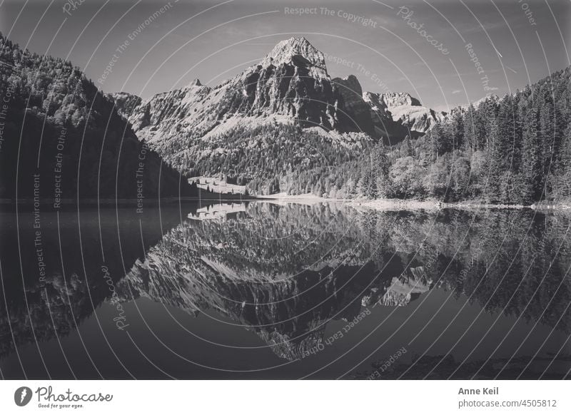 Spiegelung eines Bergmassivs in einem Bergsee sehen Berge Natur Landschaft Sommer Schwarzweißfoto Wasser Berge u. Gebirge Alpen See Reflexion & Spiegelung