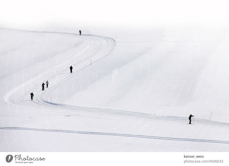 Skilangläufer auf einer Loipe beim Wintersport Skilanglauf Skilanglaufpiste Skilanglaufloipe Schnee monochrom Skisport Spuren weiß Wintertourismus