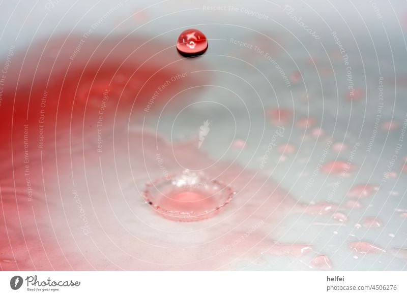Wassertropfen mit Wassertrichter in rosa fotografiert im Studio Wasserspritzer Tropfen spritzig Spritzer Makroaufnahme Reflexion & Spiegelung nass