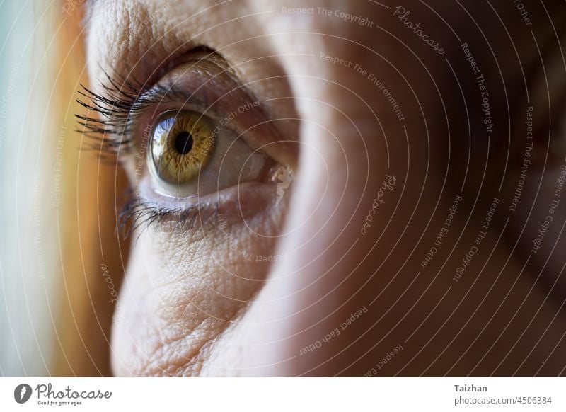 Makroaufnahme eines braunen weiblichen Auges. Nahaufnahme eines weiblichen Auges cool Kosmetik Blickfang Augenbraue Wimpern Augenlicht Glamour horizontal