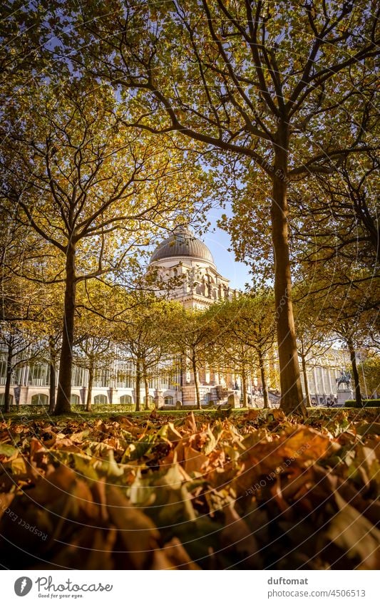 Staatskanzlei in München eingerahmt von herbstlichem Laub Herbst Laum Bäume Baum Natur Symmetrie symmetrisch natürlich Natursymmetrie Symmetrie der Natur