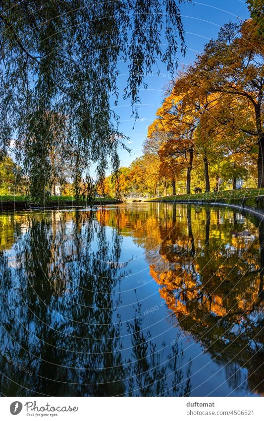 Herbstliche Spiegelung von Bäumen im Wasser Reflexion & Spiegelung Reflektion doppel reflektion Baum See ruhig Laub verfärben Veränderung saisonal Natur blau