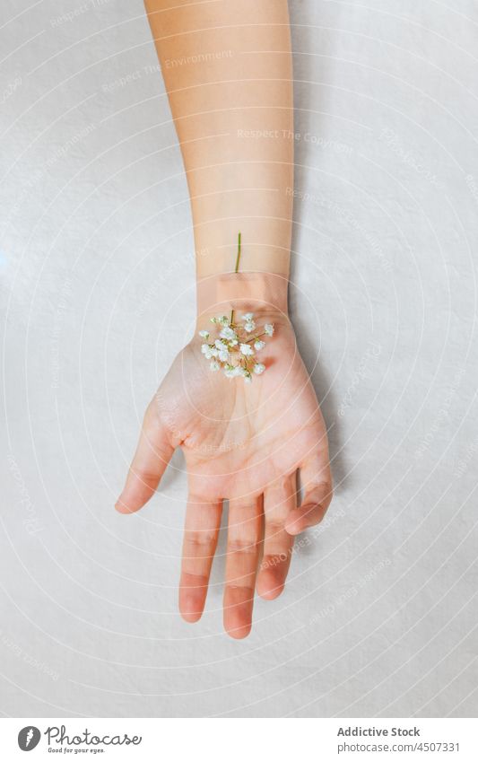 Frau mit Blume auf einem Pflaster Fleck Leckerbissen natürlich Zweig Hautpflege Konzept filigran Kosmetologie verwöhnen Pflanze rein geblümt sanft Blüte feminin