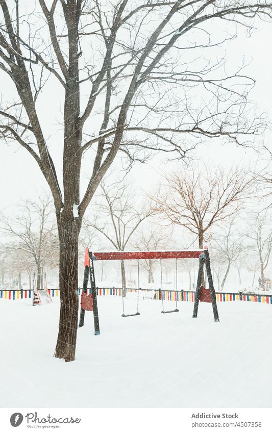 Schaukeln auf dem Spielplatz im Winterpark pendeln kalt Schnee Baum Öffentlich laublos bedeckt trist Sliden Saison gefroren Winterzeit Pflanze frieren Ast