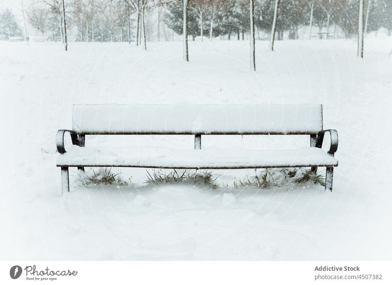 Mit Schnee bedeckte Bank im Winterpark laublos Baum Park hölzern wolkig Pflanze Umwelt vegetieren Frost Ast wachsen gefroren kalt Saison Spanien Madrid Europa