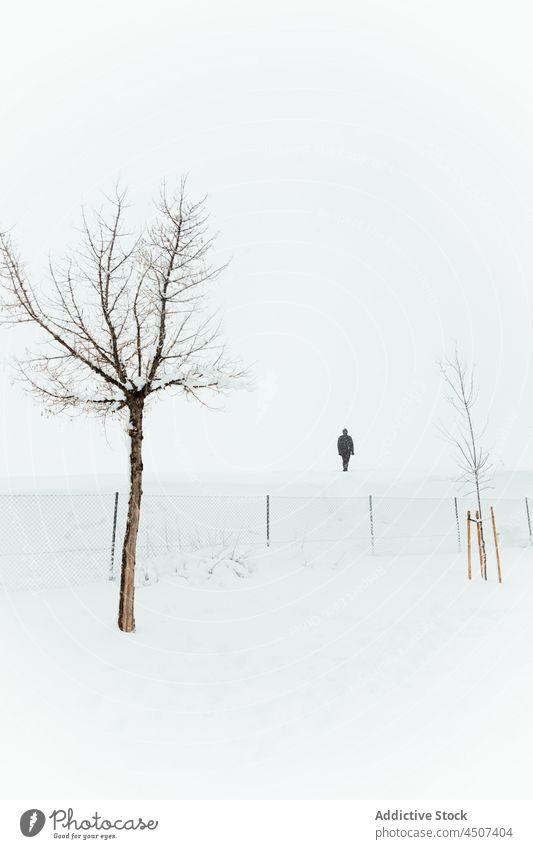 Stehende Person in verschneitem Gelände mit kahlen Bäumen Winter Baum Schnee Nebel einsam Natur Umwelt kalt bedeckt Zaun Dunst Landschaft Schneewehe Winterzeit