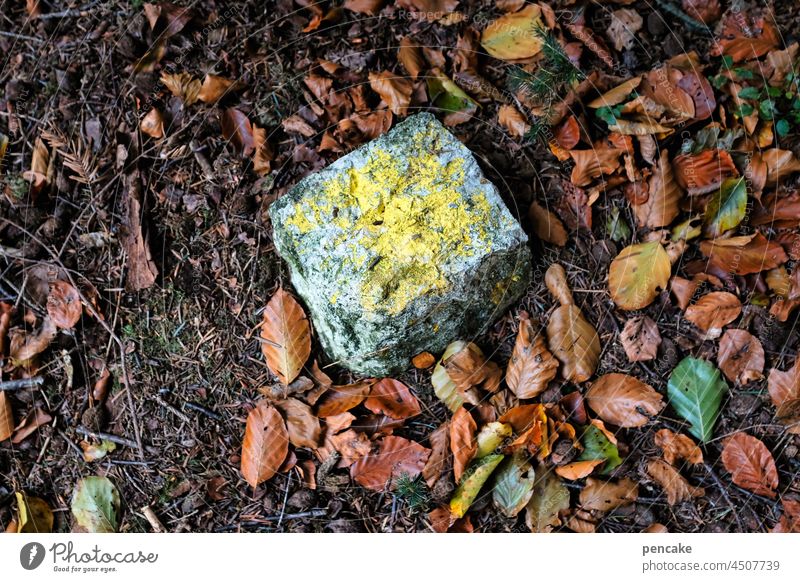 leichtigkeit | ist relativ Stein Grenzstein Pflasterstein Waldboden Herbstblätter liegen Erdanziehungskraft Gewicht schwer Gravitation Grenze Markierung