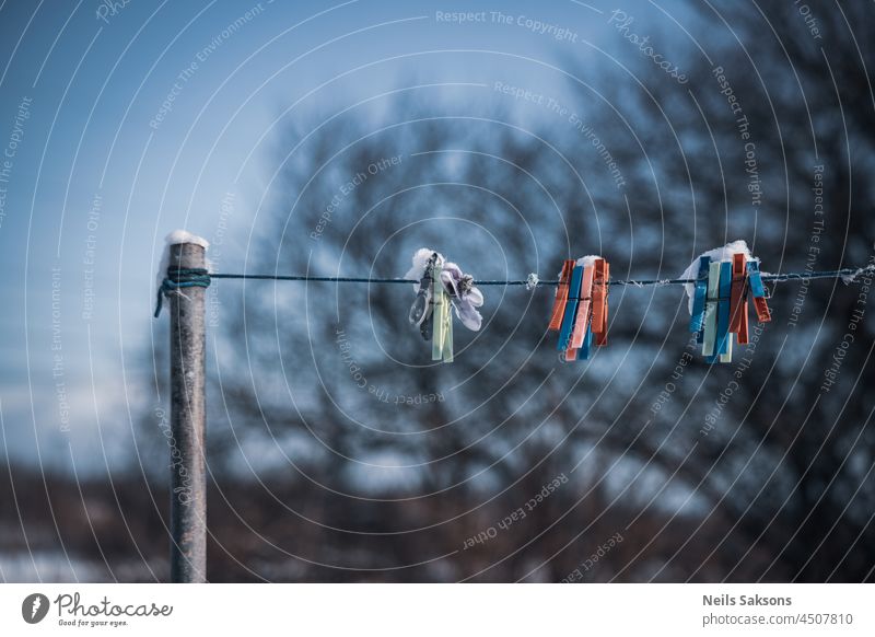 Wäscheklammern auf Wäschedraht im Freien am Wintermorgen. Laublose Zweige im Hintergrund blau Kabel Clip schließen Stoff Wäscheleine Kleiderspin Bekleidung kalt