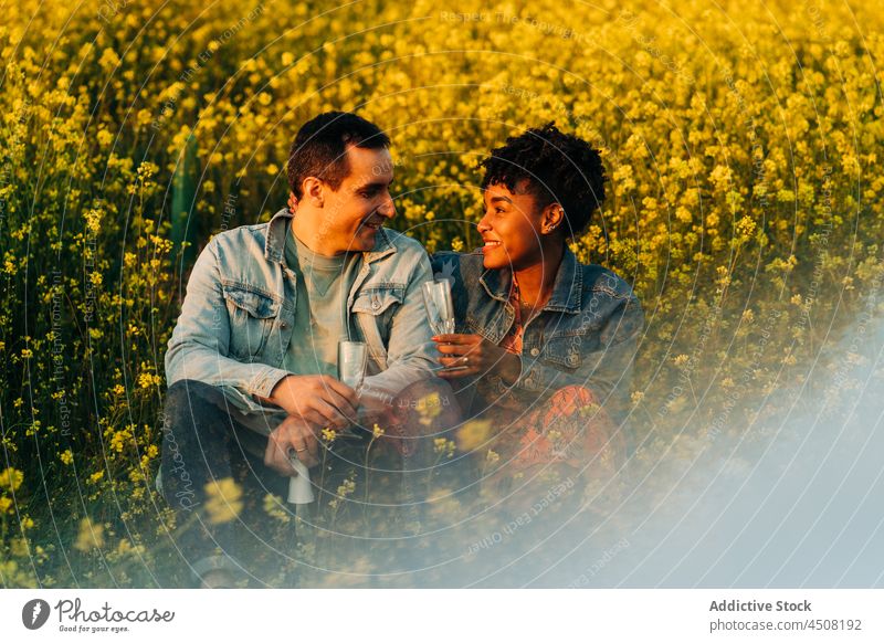 Glückliches junges buntes Paar sitzt auf einer Wiese im Sonnenlicht Termin & Datum romantisch Liebe Zusammensein trinken Champagne Partnerschaft Zuneigung