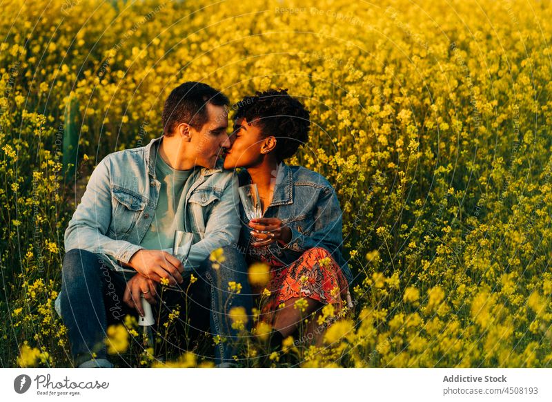 Glückliches junges buntes Paar, das sich auf einer Wiese im Sonnenlicht küsst Kuss Termin & Datum romantisch Liebe Zusammensein trinken Champagne Partnerschaft