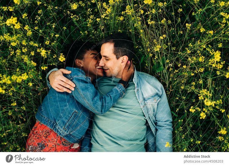 Glückliches junges buntes Paar, das sich auf einer Wiese im Sonnenlicht küsst Kuss Termin & Datum romantisch Liebe Zusammensein Partnerschaft Zuneigung