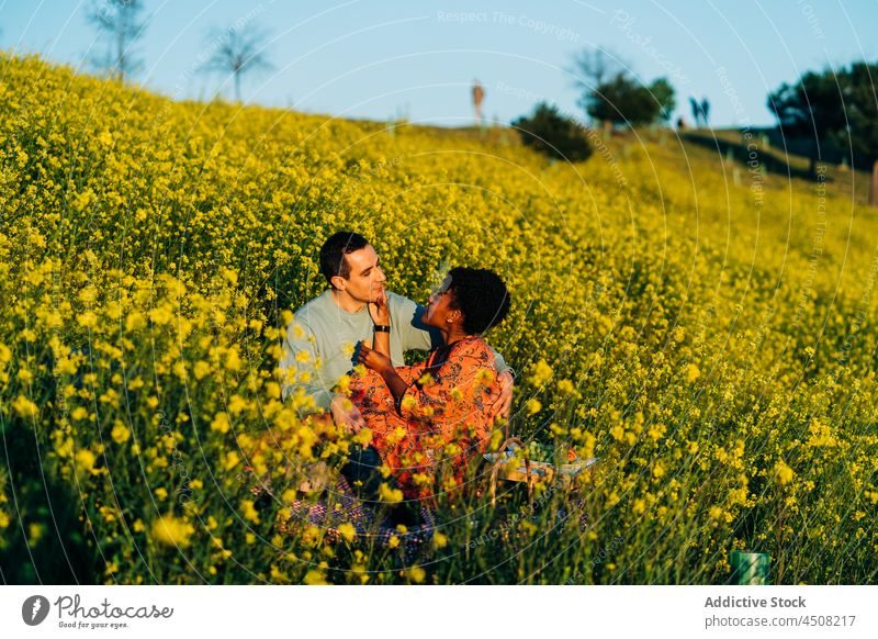 Zartes, vielfältiges Paar beim Picknick auf einem Feld Partnerschaft Liebe Rasen Erdbeeren romantisch Termin & Datum Zuneigung Bonden Zusammensein Freundin Mann