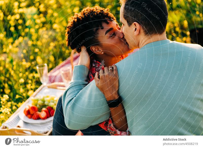 Liebendes gemischtrassiges Paar, das sich beim Picknick im Stadtpark umarmt Kuss Umarmung romantisch Partnerschaft Wiese Augen geschlossen Zusammensein Umarmen