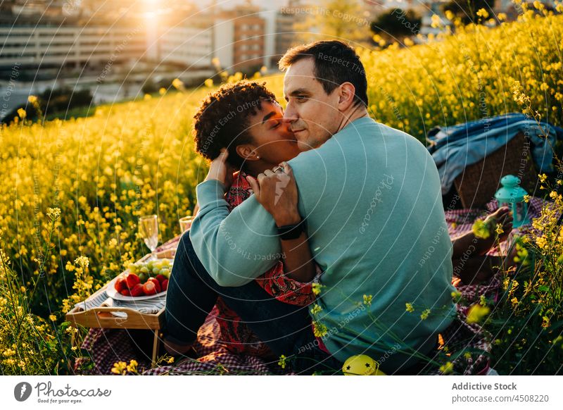 Liebendes gemischtrassiges Paar, das sich beim Picknick im Stadtpark umarmt Kuss Umarmung romantisch Partnerschaft Wiese Augen geschlossen Zusammensein Umarmen