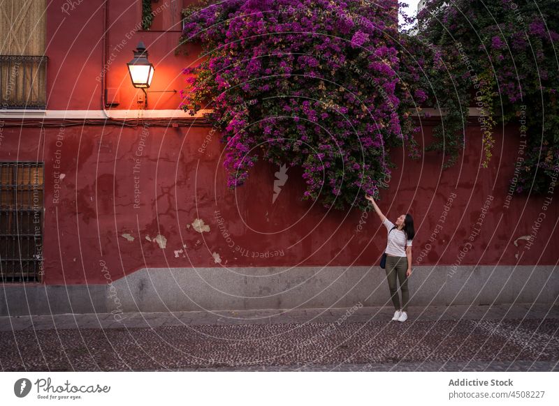 Frau auf einem Weg in der Nähe eines alten Gebäudes mit Blumen Stadt gealtert Tourist Straße Strauch Reise geblümt wachsen Pflanze bewundern Haus Cordoba