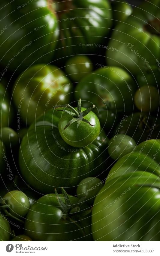 Kirschtomaten auf einem Haufen grünem Gemüse unreif Tomate Ernte Ackerbau Bauernhof Inszenierung Lebensmittel roh kultivieren produzieren ganz heilsam Agronomie