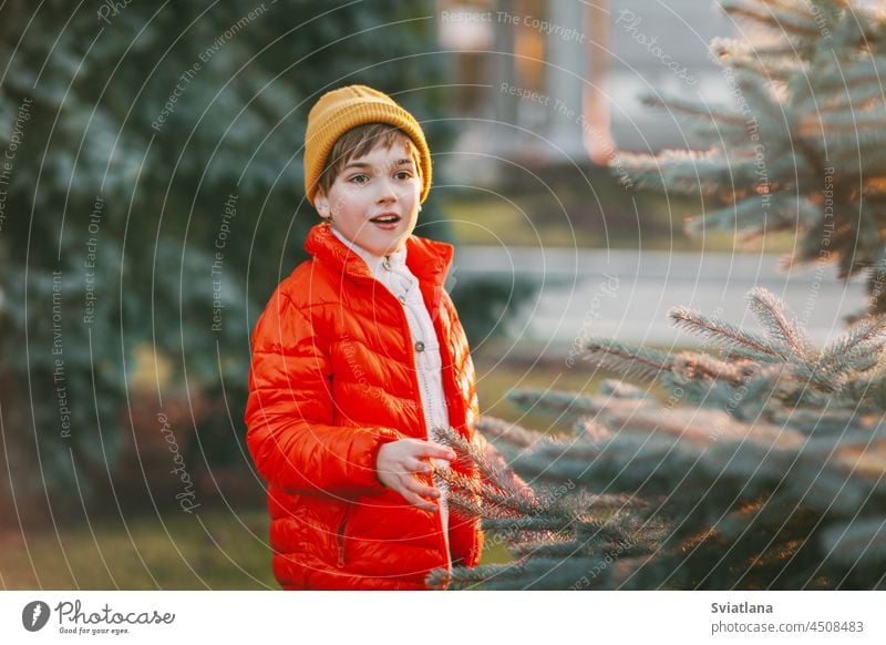 Ein charmanter Junge geht im Park spazieren und sucht sich fröhlich einen Weihnachtsbaum für die Feiertage aus. Das Konzept von Weihnachten und Neujahr Baum