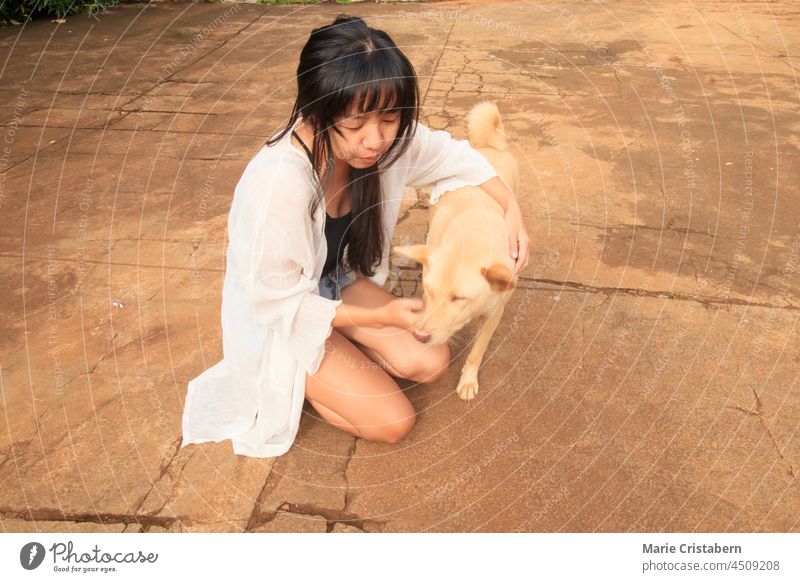 Ein asiatisches Mädchen streichelt einen süßen Hund Haustier Hund Schönheit schönes Mädchen Freundschaft Zusammengehörigkeitsgefühl bezaubernd Niedlichkeit